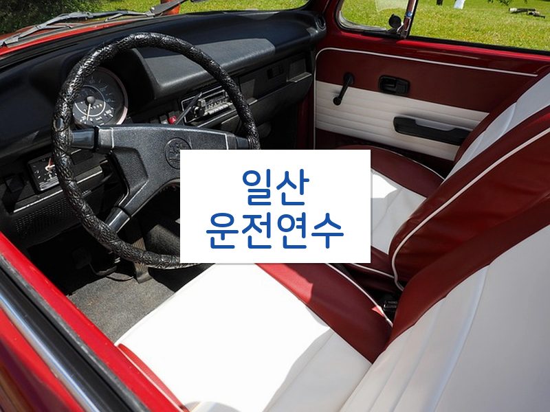 일산운전연수 후기