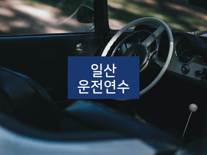 일산운전연수 후기