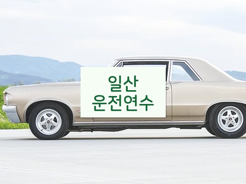 일산운전연수 후기