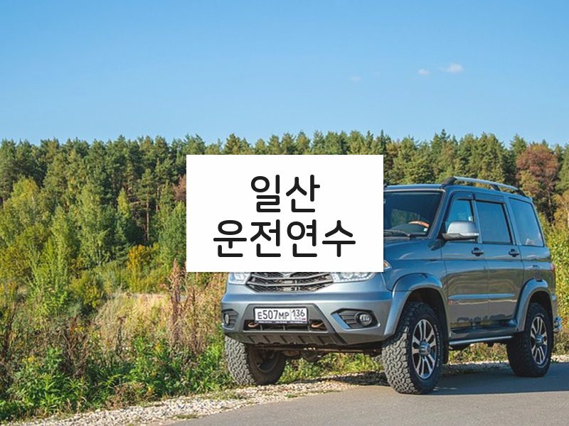 일산운전연수 후기