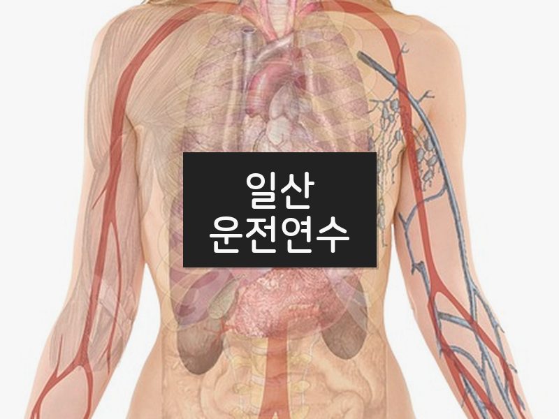 일산운전연수 후기