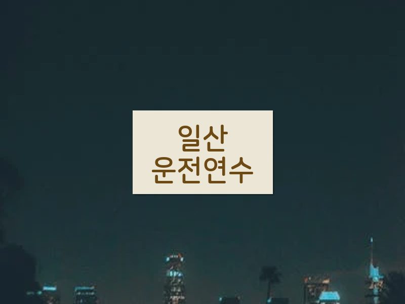 일산운전연수 후기