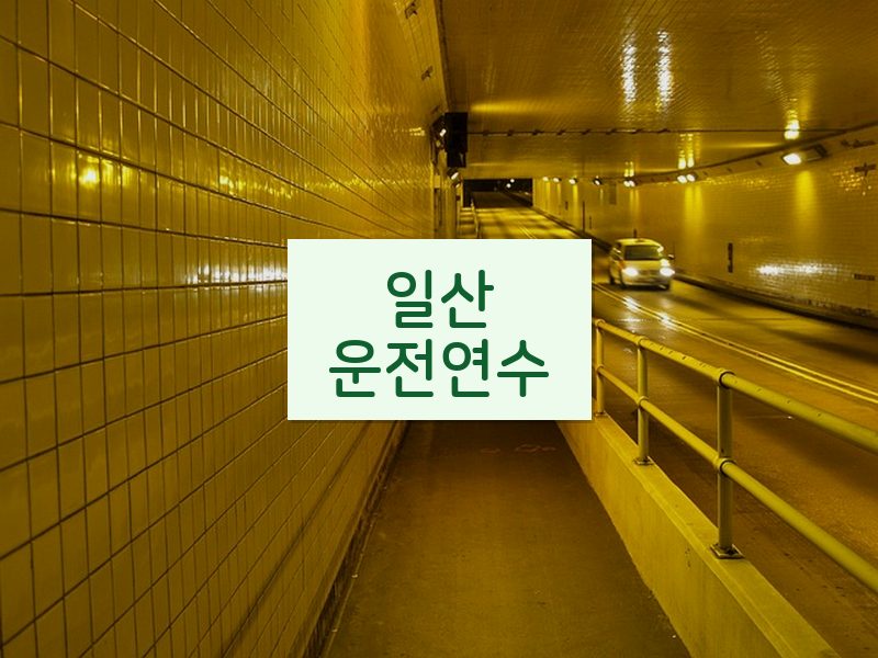 일산운전연수 후기