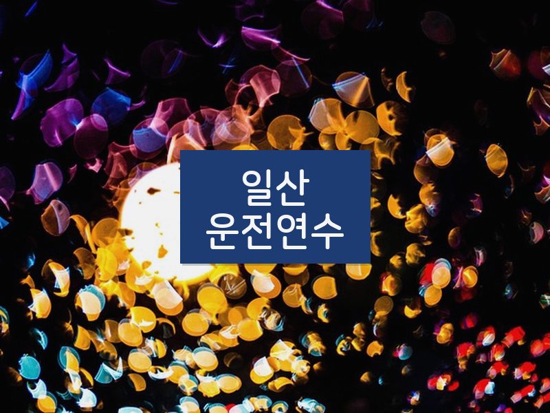 일산운전연수 후기