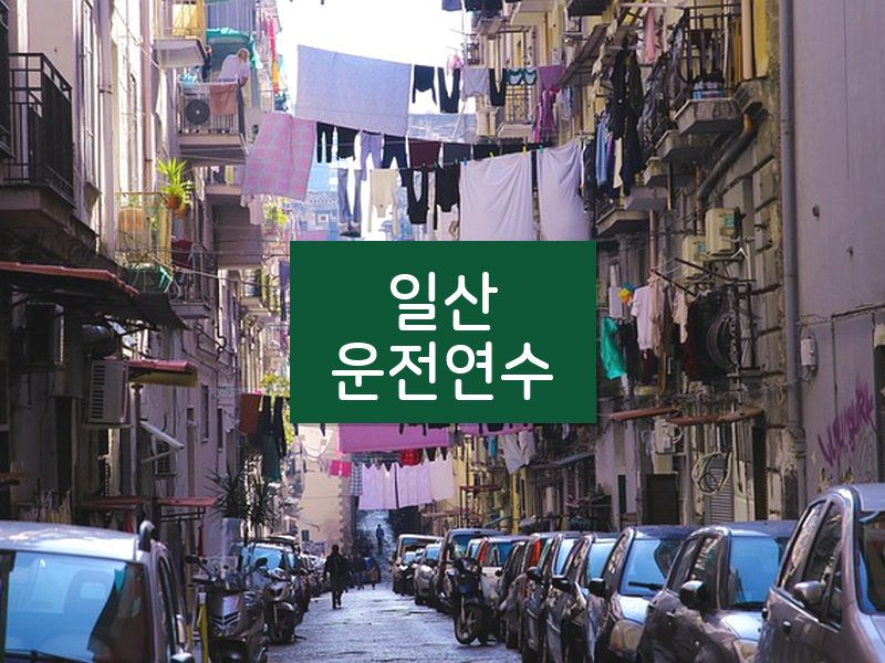 일산운전연수 후기