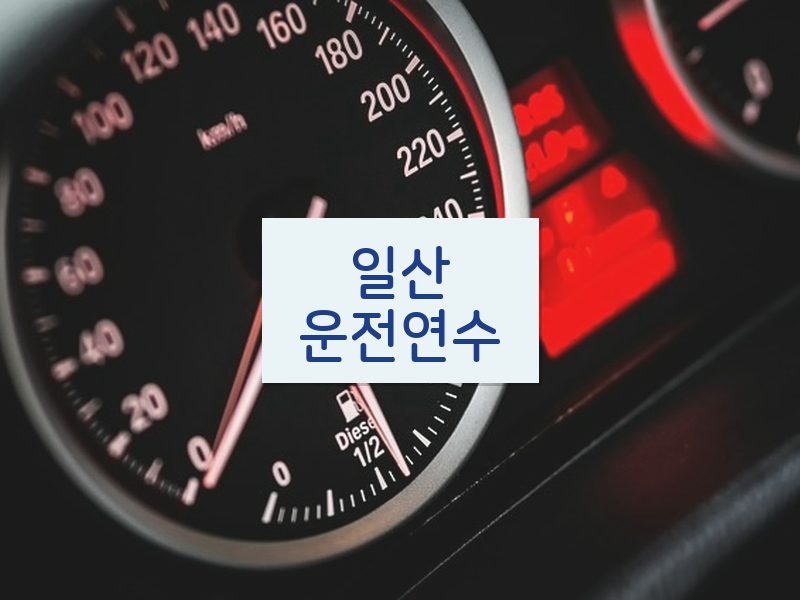 일산운전연수 후기