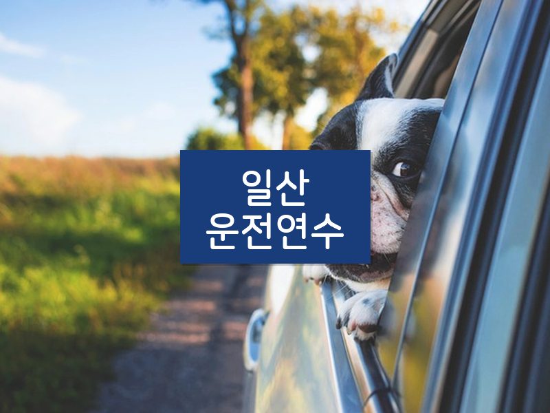 일산운전연수 후기