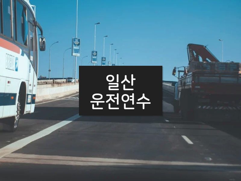 일산운전연수 후기