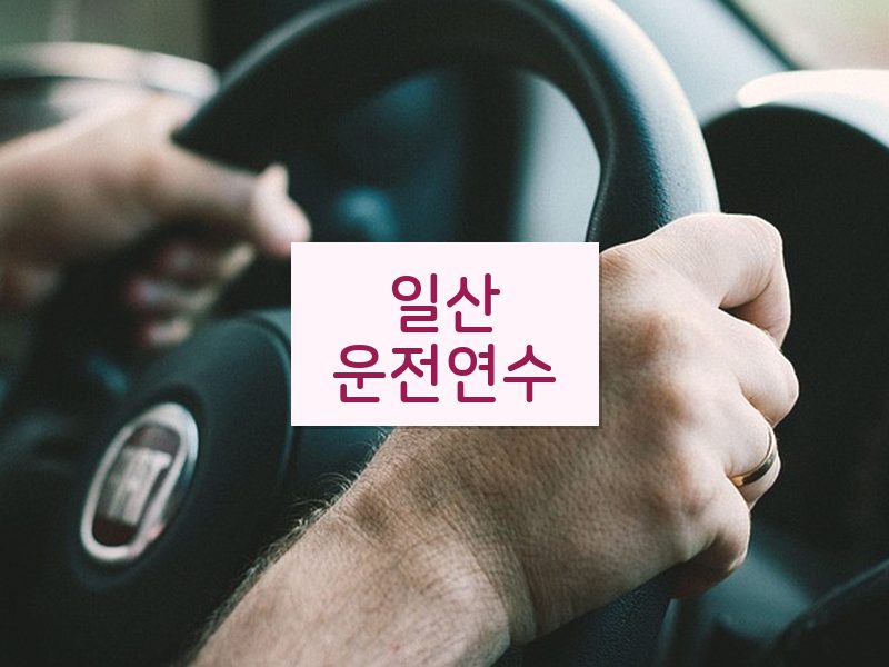 일산운전연수 후기