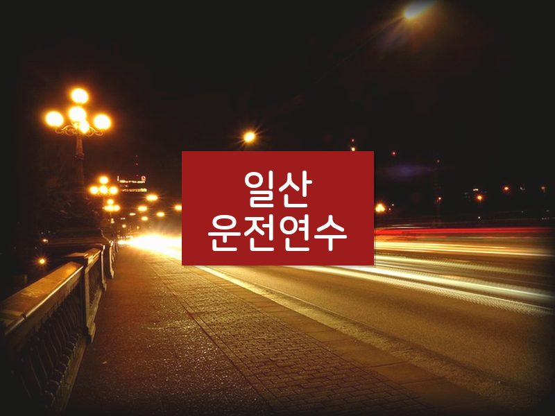 일산운전연수 후기