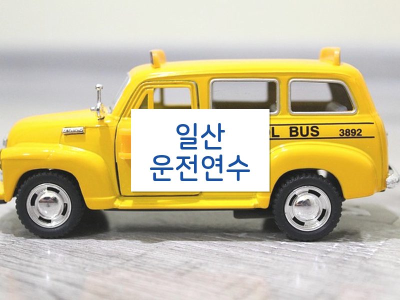 일산운전연수 후기