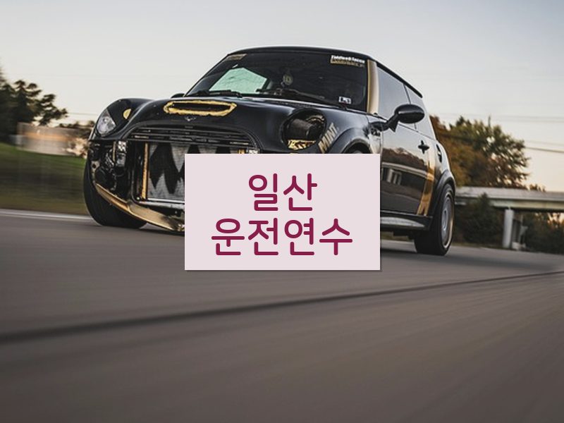 일산운전연수 후기