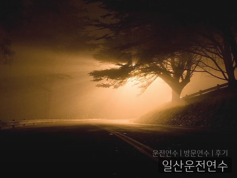 일산운전연수 후기