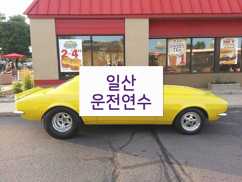 일산운전연수 후기