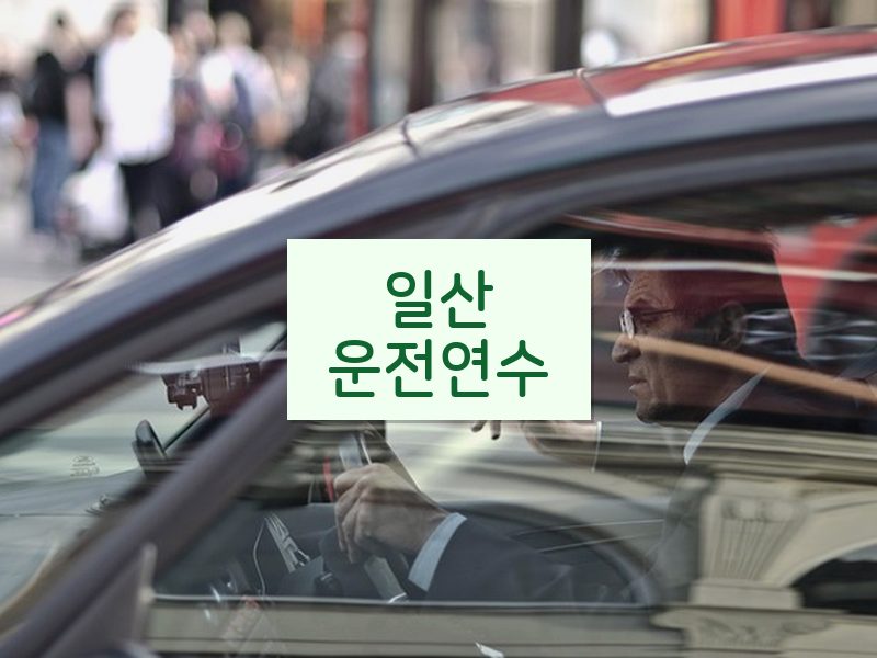일산운전연수 후기