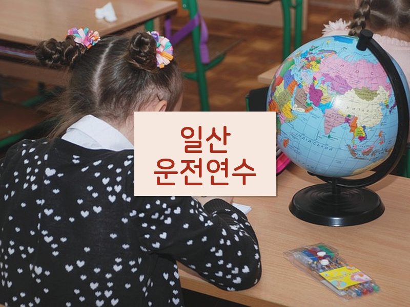 일산운전연수 후기