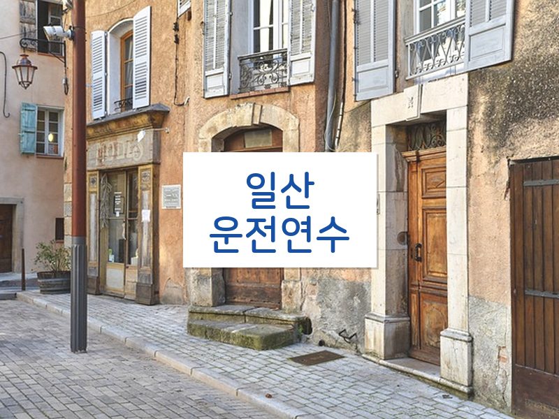 일산운전연수 후기