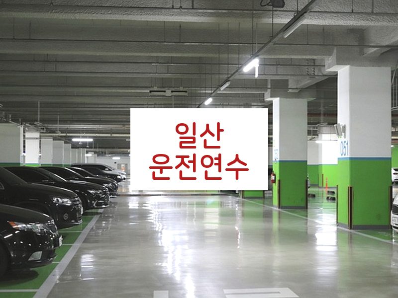 일산운전연수 후기