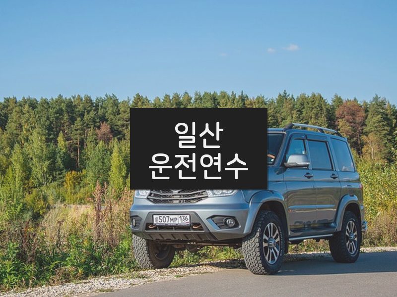 일산운전연수 후기