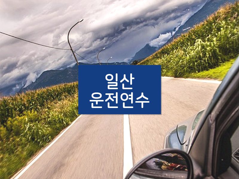 일산운전연수 후기