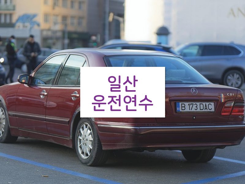 일산운전연수 후기