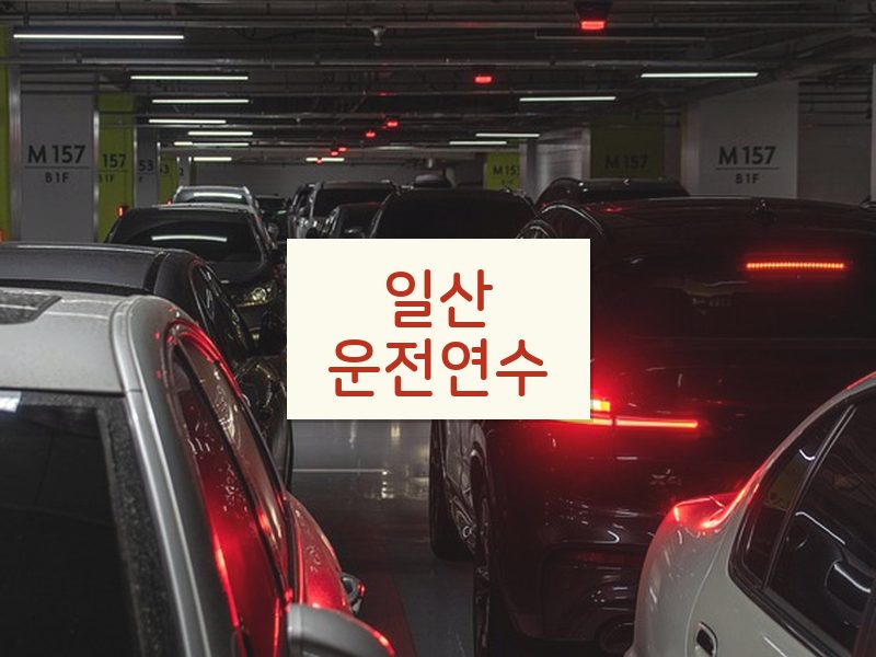 일산운전연수 후기