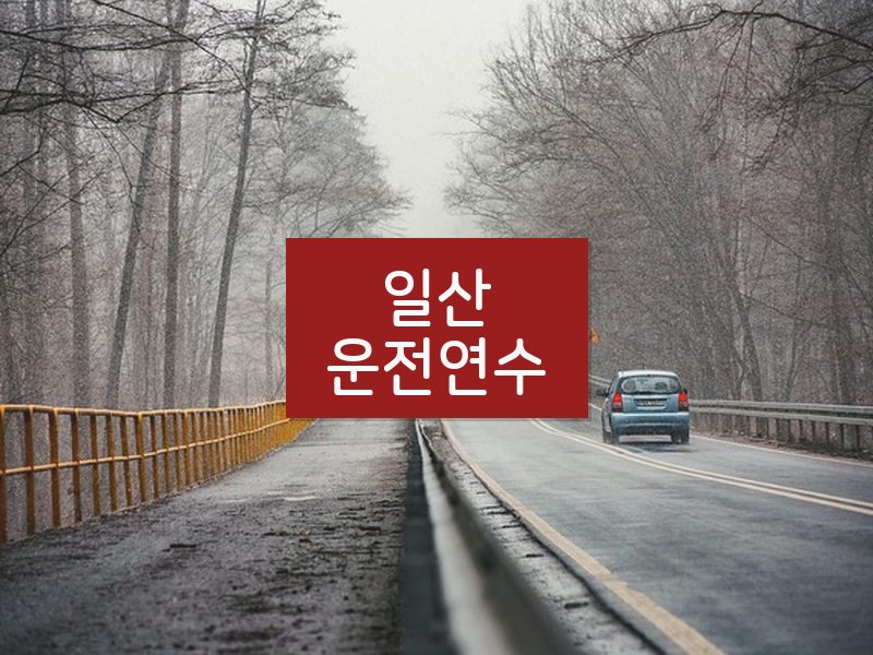 일산운전연수 후기