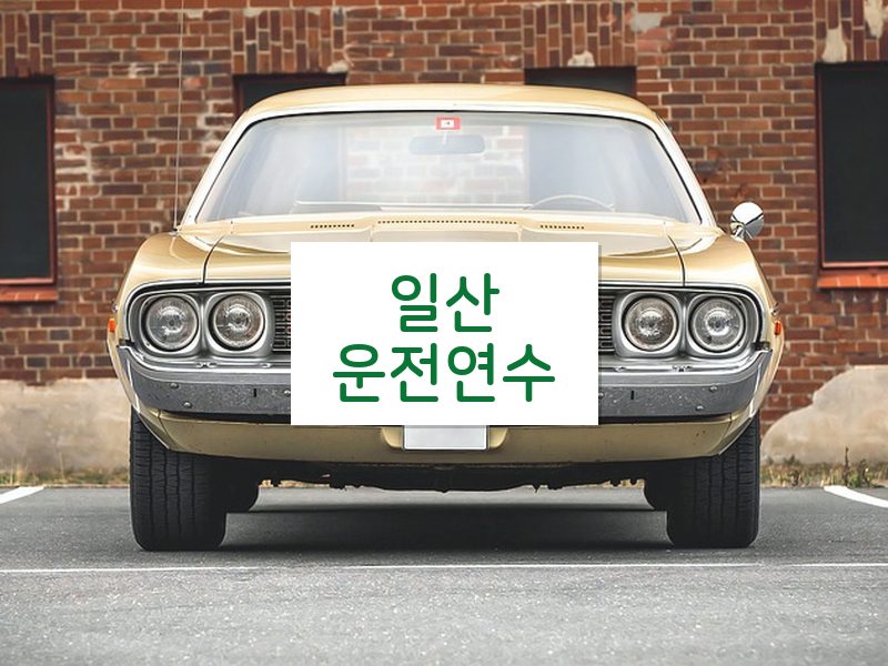 일산운전연수 후기