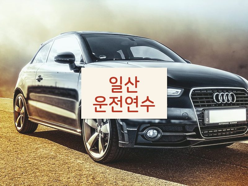 일산운전연수 후기