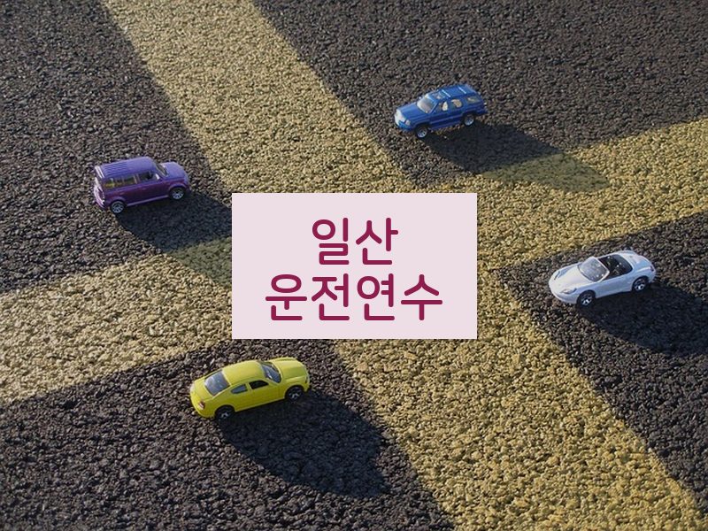 일산운전연수 후기