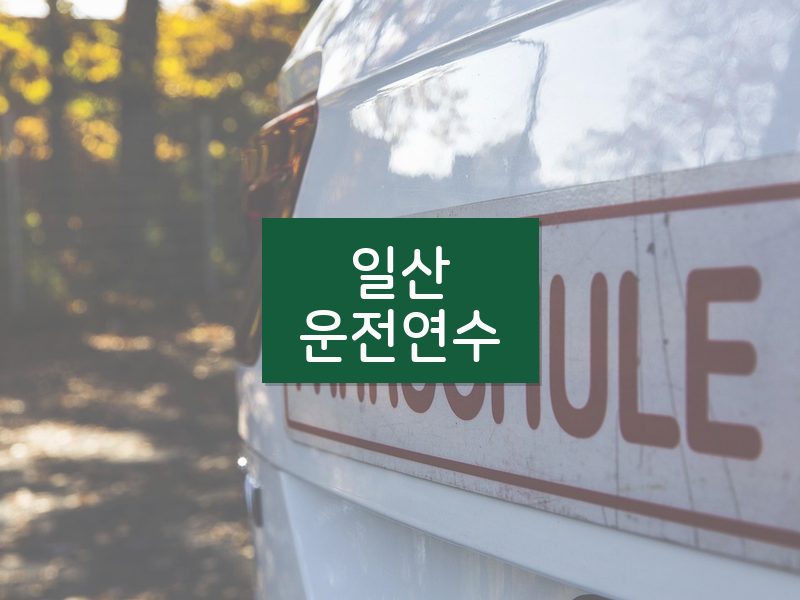 일산운전연수 후기