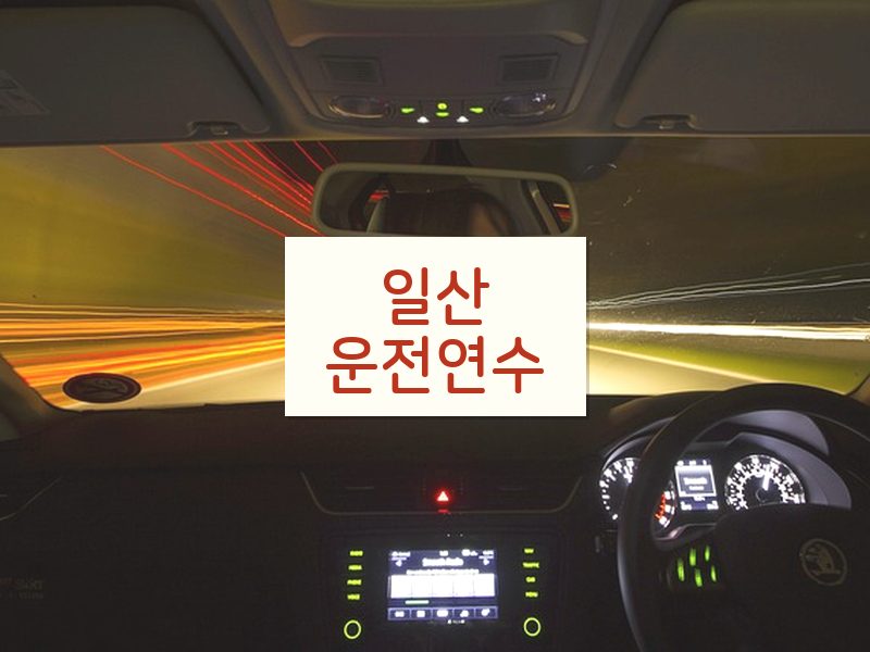 일산운전연수 후기