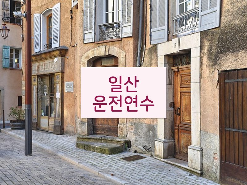 일산운전연수 후기