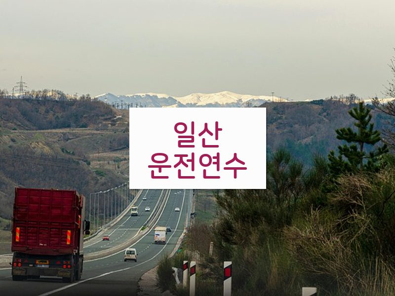 일산운전연수 후기