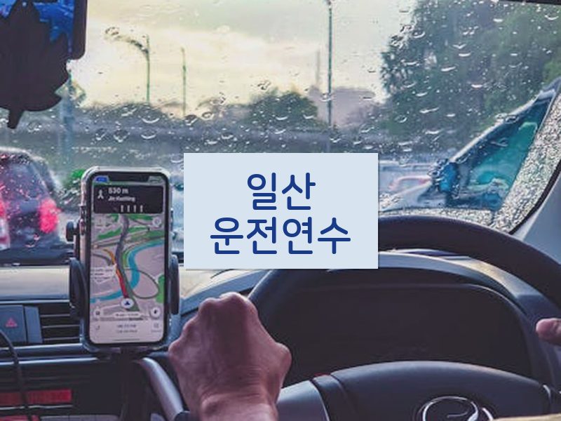 일산운전연수 후기