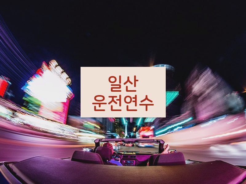 일산운전연수 후기