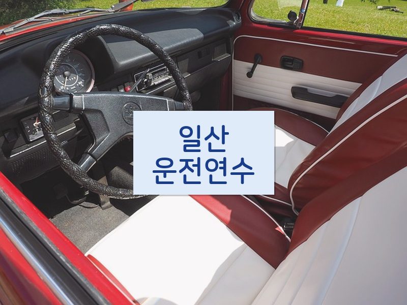 일산운전연수 후기