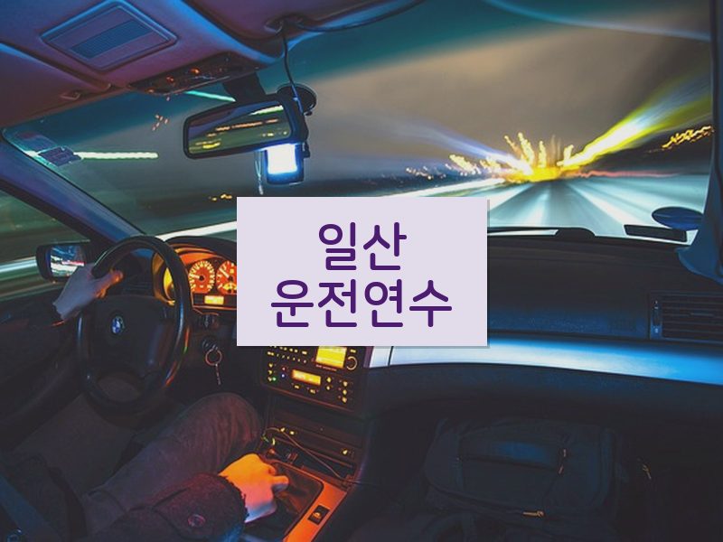 일산운전연수 후기