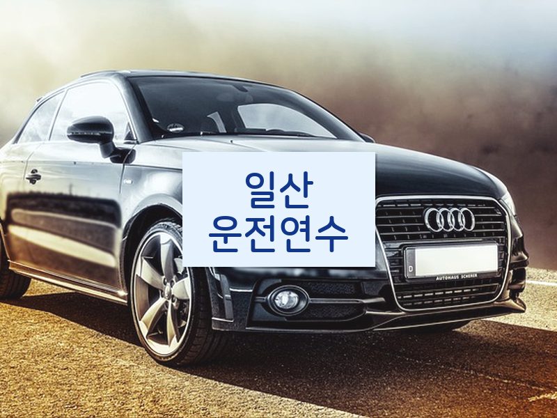 일산운전연수 후기