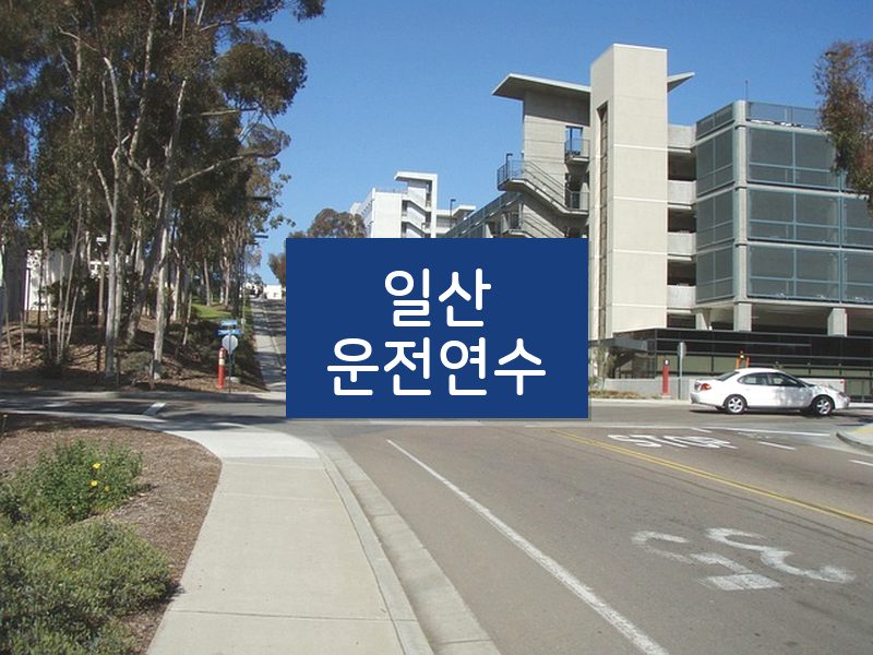 일산운전연수 후기