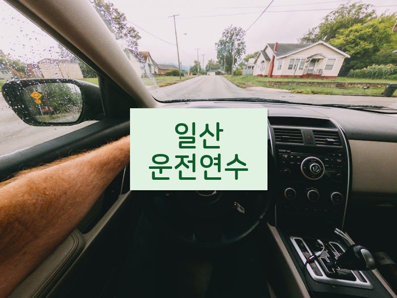 일산운전연수 후기
