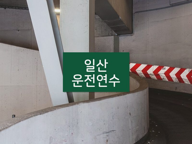 일산운전연수 후기