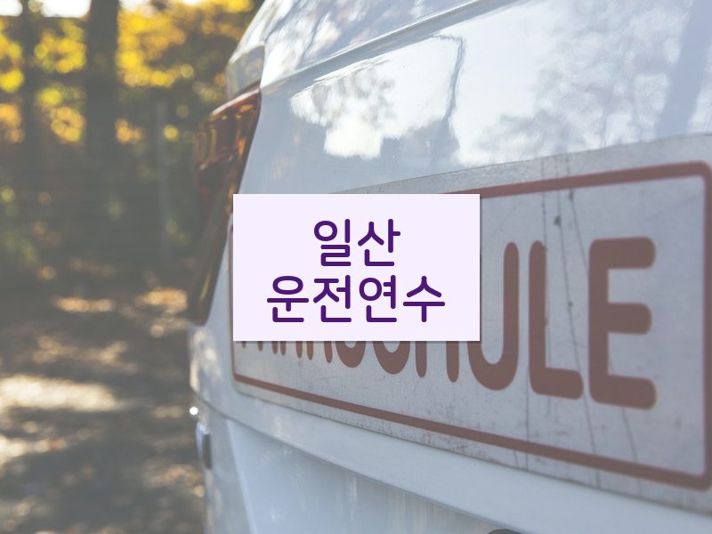 일산운전연수 후기