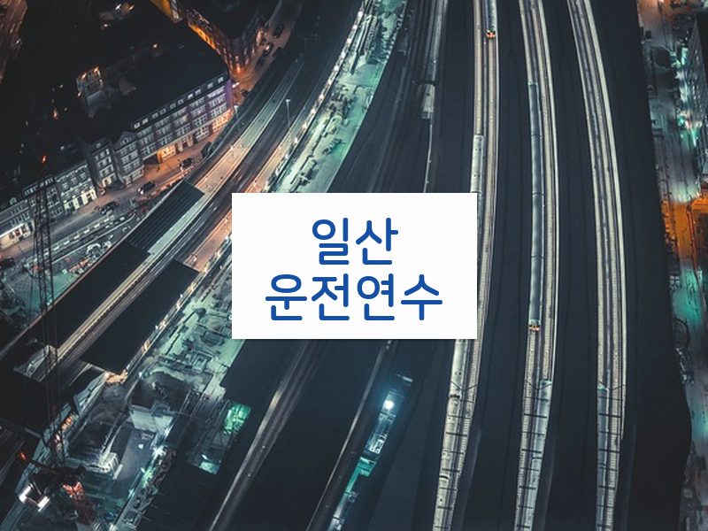 일산운전연수 후기