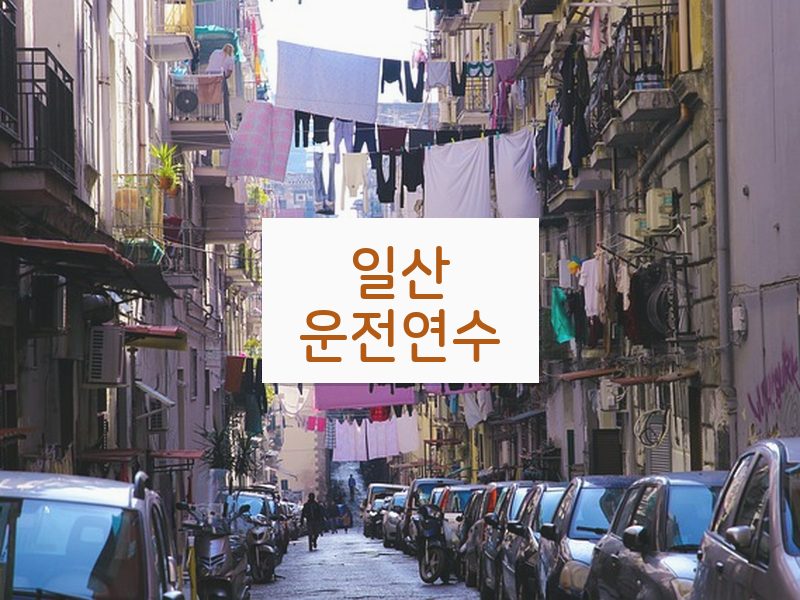 일산운전연수 후기