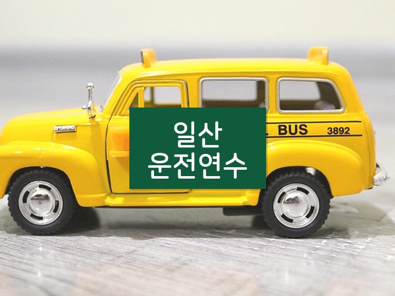 일산운전연수 후기