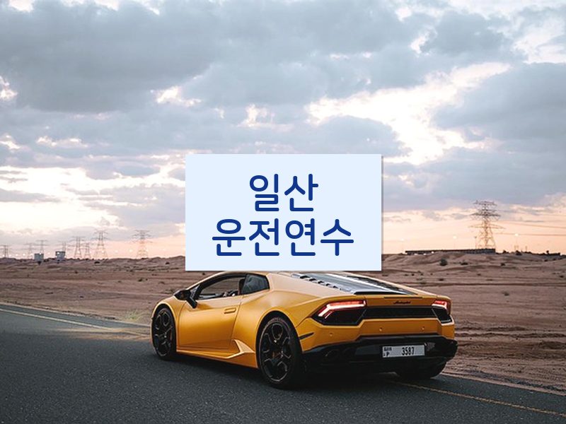 일산운전연수 후기