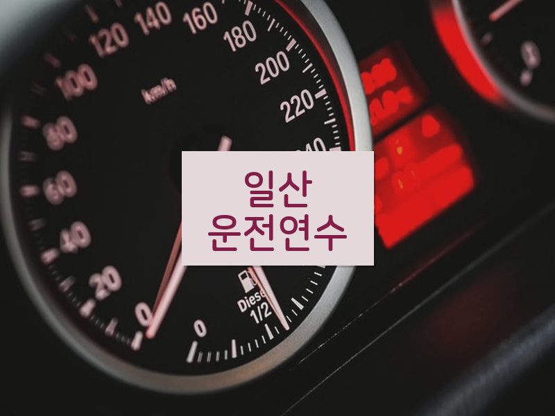 일산운전연수 후기