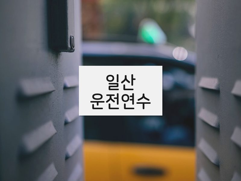 일산운전연수 후기