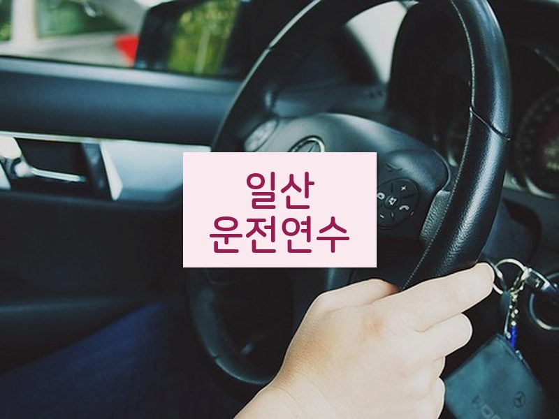 일산운전연수 후기